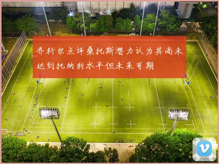 乔科尔点评桑托斯潜力认为其尚未达到托纳利水平但未来可期